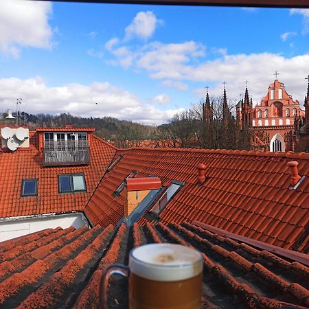 Private Sauna & 4 Bedrooms Old Town Rooftop Apartment Vilnius Exterior photo