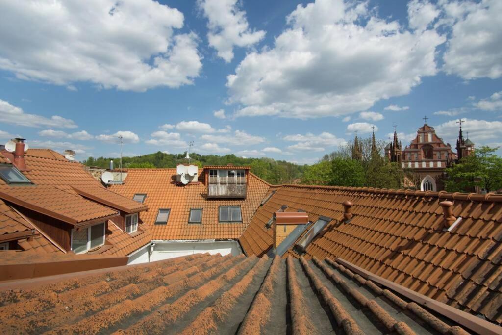 Private Sauna & 4 Bedrooms Old Town Rooftop Apartment Vilnius Exterior photo
